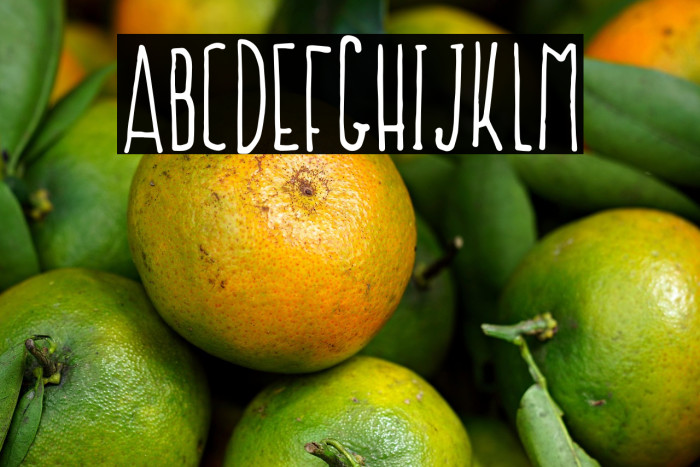 NF-Prokopis Regular Example 3