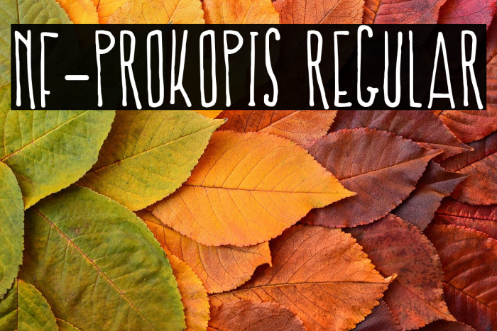 NF-Prokopis Regular Example 3