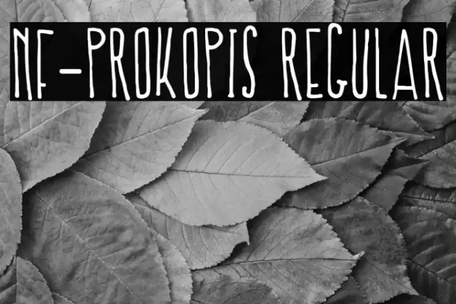 NF-Prokopis Regular Font examples