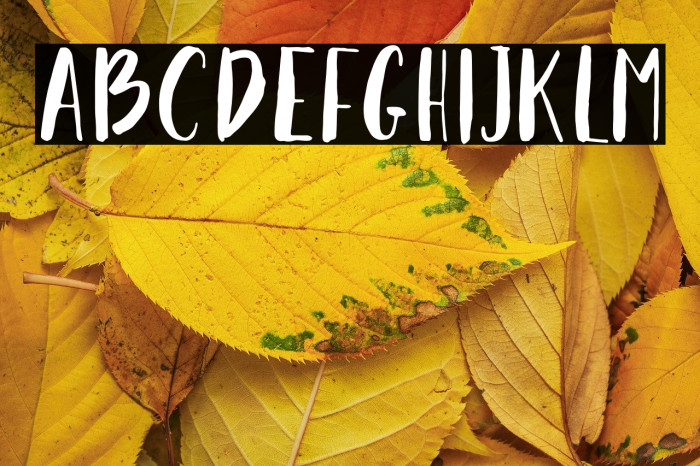 NF-Takhie-Free Regular Example 2