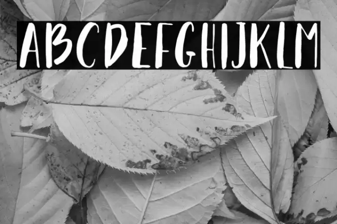 NF-Takhie-Free Regular Font examples