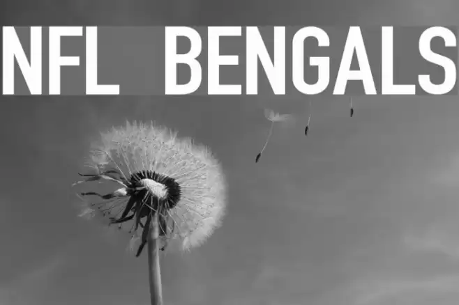 NFL Bengals Font examples