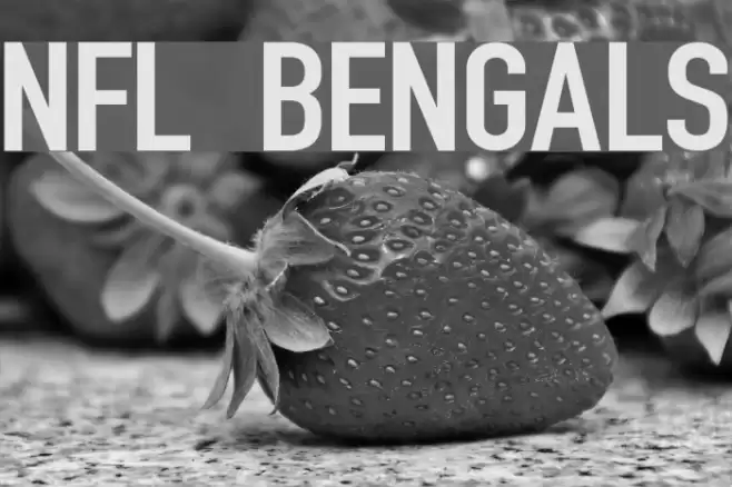 NFL Bengals Font examples