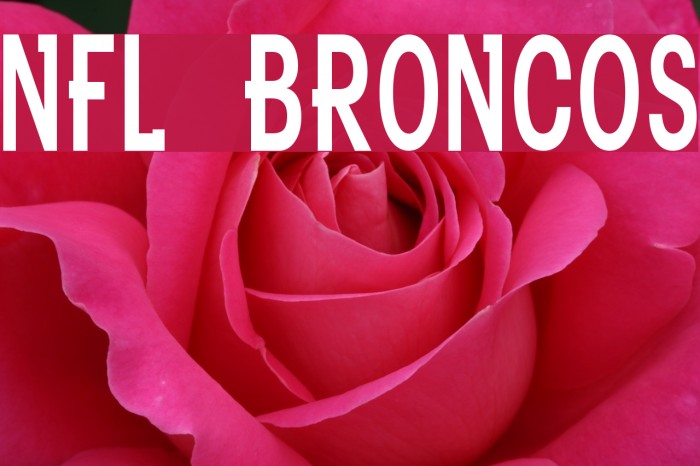 NFL Broncos Font examples