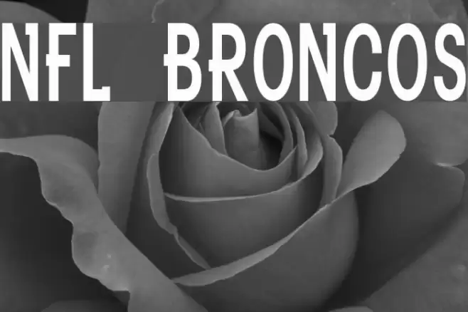 NFL Broncos Font examples