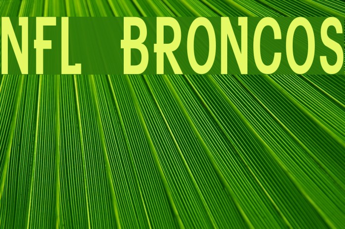 NFL Broncos Font examples