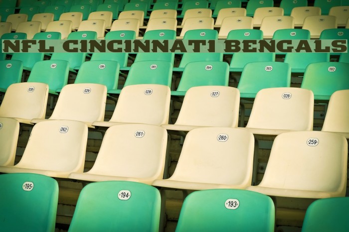 NFL Cincinnati Bengals Font examples