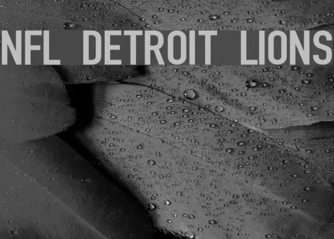 NFL Detroit Lions Font examples