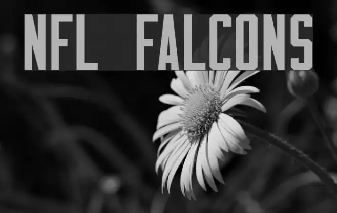 NFL Falcons Font examples