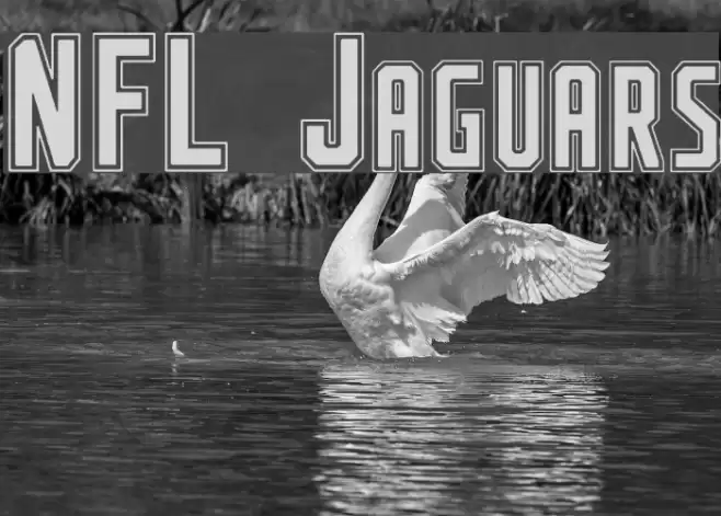 NFL Jaguars Font examples