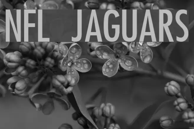 NFL Jaguars 字体 examples
