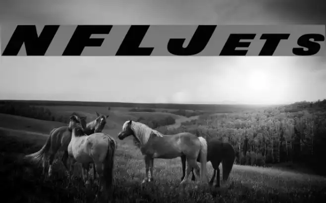 NFL Jets Example 3
