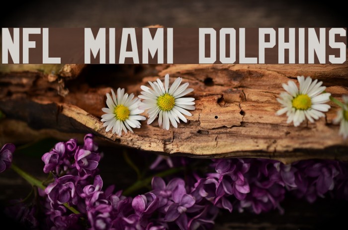 NFL Miami Dolphins Font - UpFonts