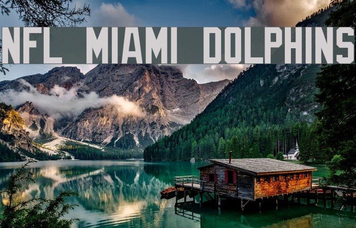 NFL Miami Dolphins Font examples