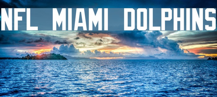 NFL Miami Dolphins Font examples