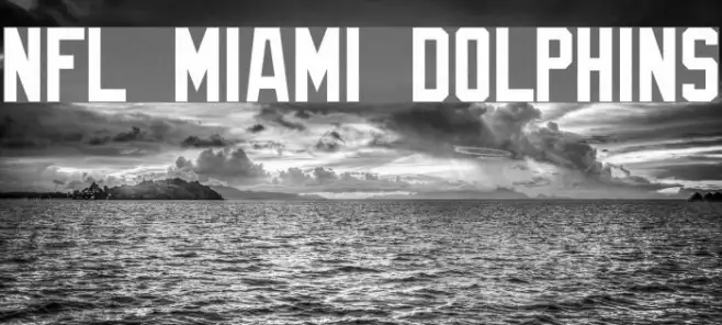 NFL Miami Dolphins Example 3