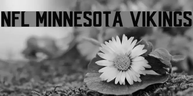 NFL Minnesota Vikings Font examples