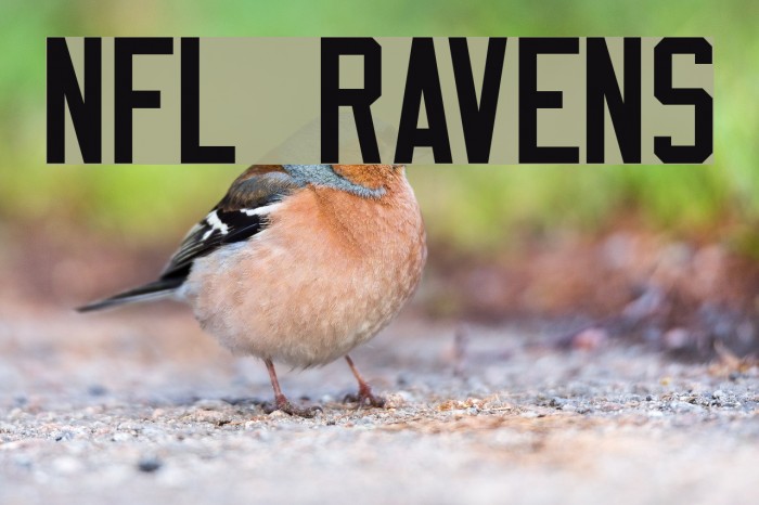 NFL Ravens Font examples