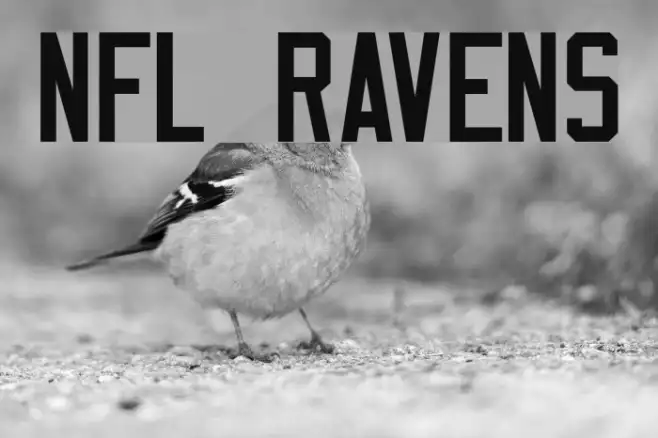 NFL Ravens Example 2