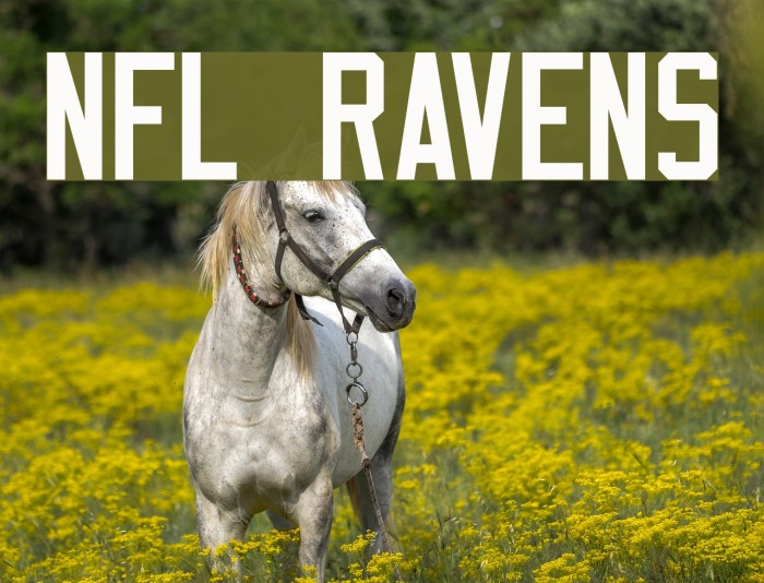 NFL Ravens Font examples