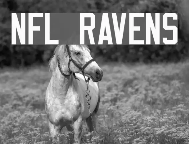 NFL Ravens Example 3