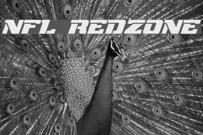 NFL RedZone フォント examples