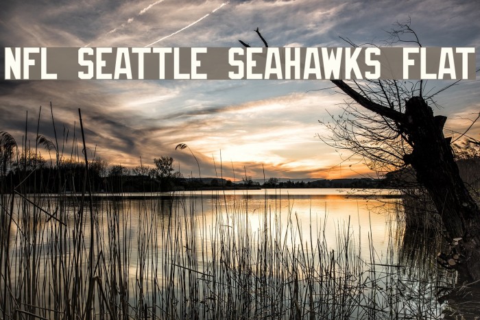 NFL Seattle Seahawks Flat Font examples