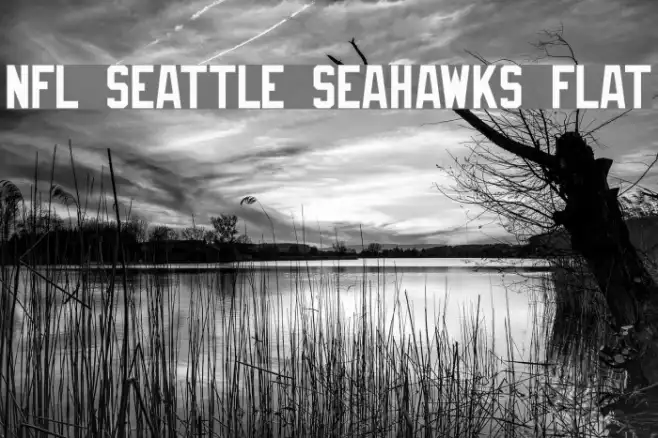 NFL Seattle Seahawks Flat Example 2