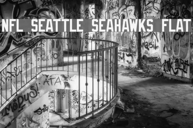 NFL Seattle Seahawks Flat Example 3
