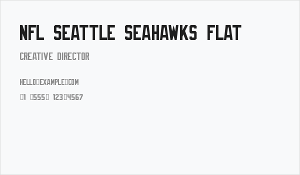 NFL Seattle Seahawks Flat Business Card