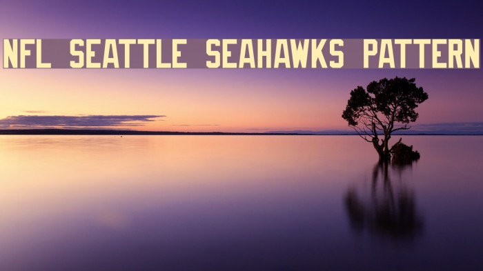 NFL Seattle Seahawks Pattern Font examples