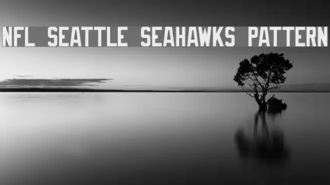 NFL Seattle Seahawks Pattern Schriftart examples