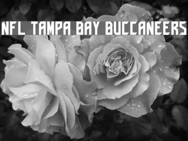 NFL Tampa Bay Buccaneers Font examples