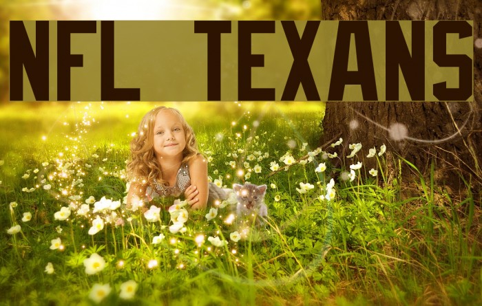 NFL Texans Font examples