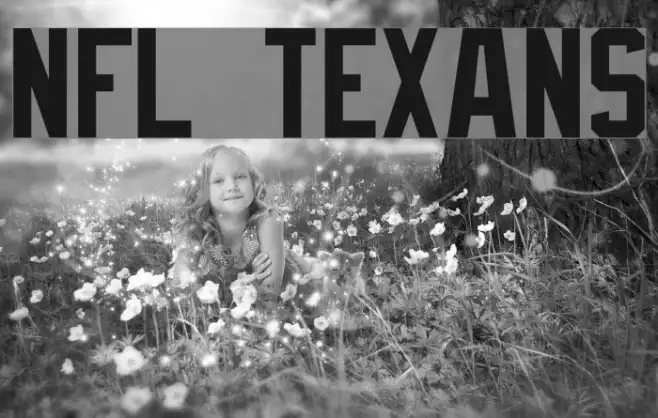 NFL Texans Example 1