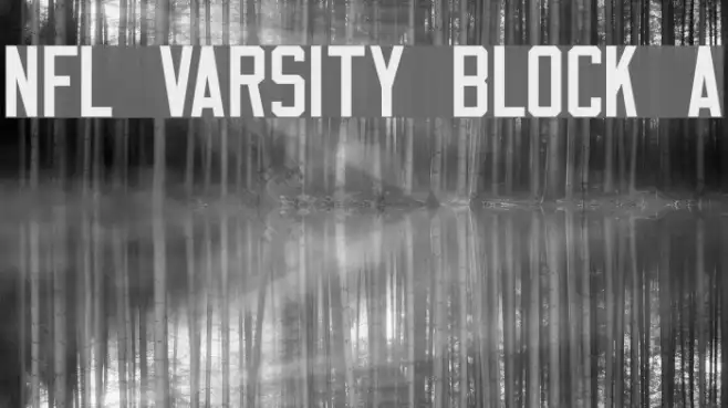 NFL Varsity Block A Example 3