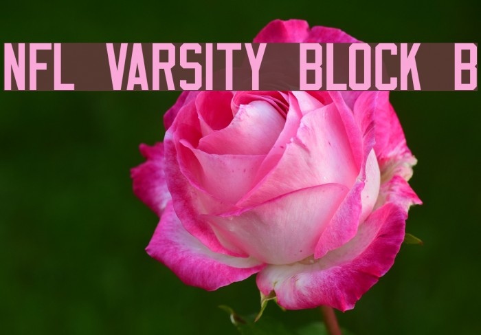 NFL Varsity Block B Font examples
