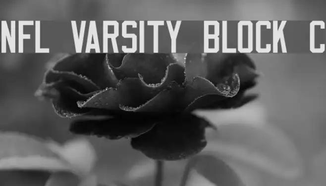 NFL Varsity Block C Example 3