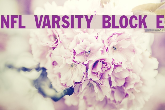 NFL Varsity Block E Font examples