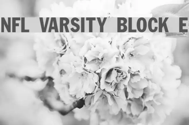 NFL Varsity Block E フォント examples