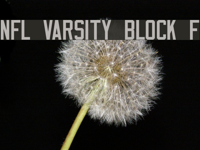 NFL Varsity Block F Font examples