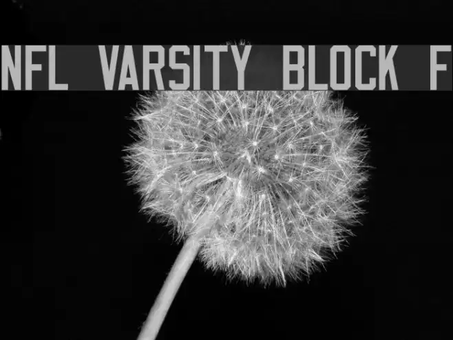 NFL Varsity Block F Example 2