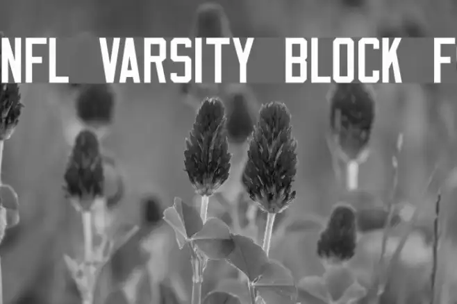 NFL Varsity Block F Example 3