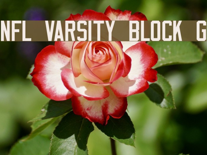 NFL Varsity Block G Font examples