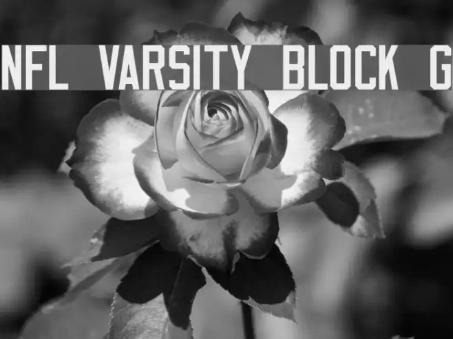 NFL Varsity Block G Example 3