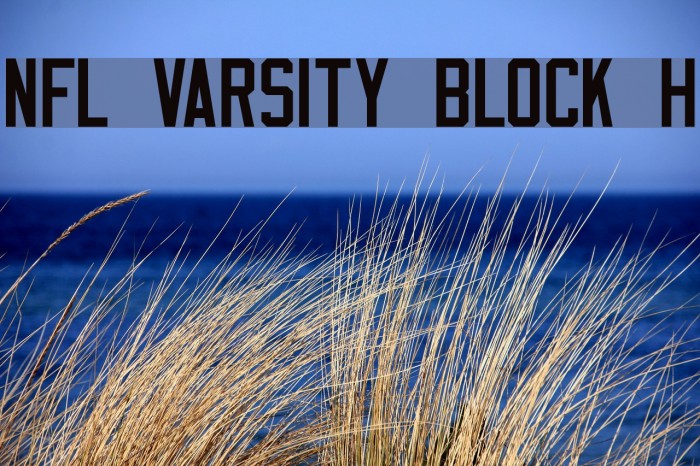 NFL Varsity Block H Font - FFonts.net