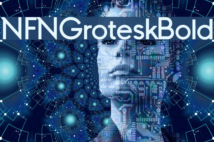 NFNGroteskBold Font examples