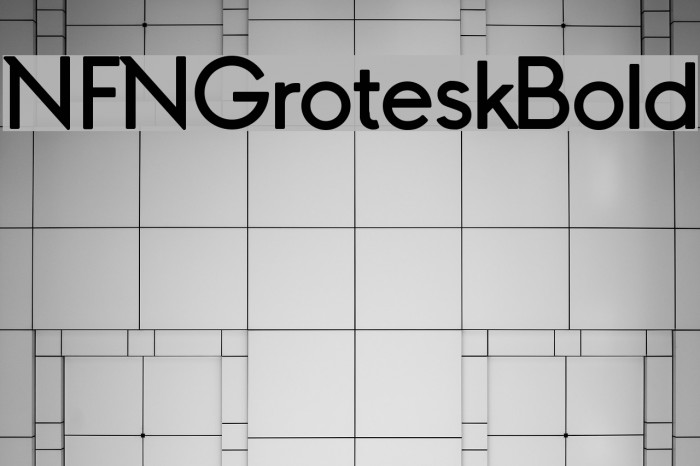 NFNGroteskBold Font examples