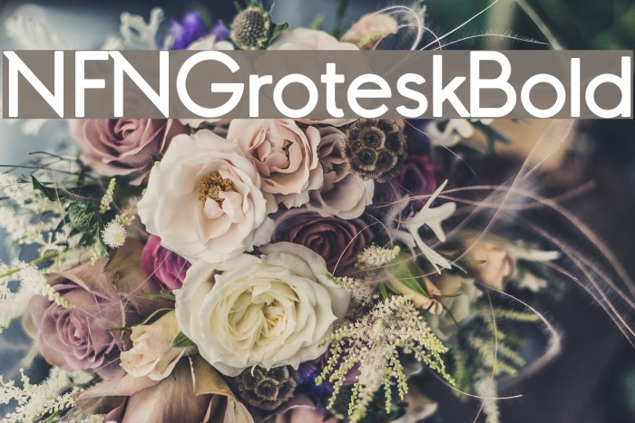 NFNGroteskBold Font examples