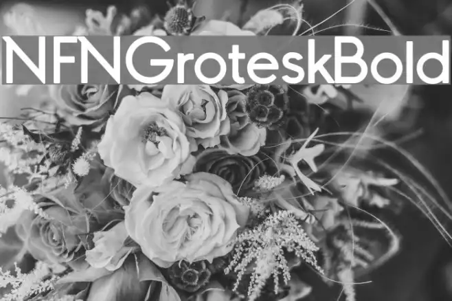 NFNGroteskBold Example 3